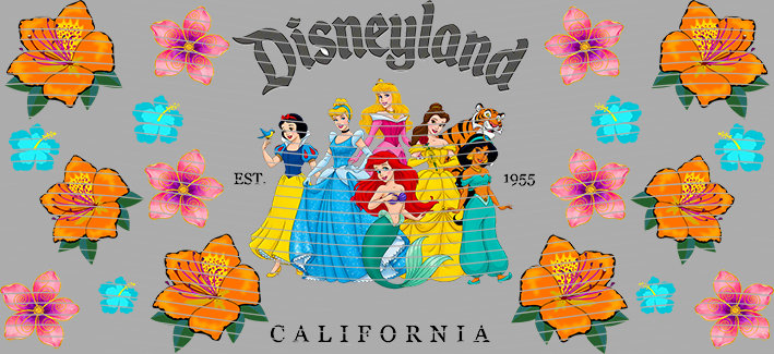 16oz Disney style-D-2040
